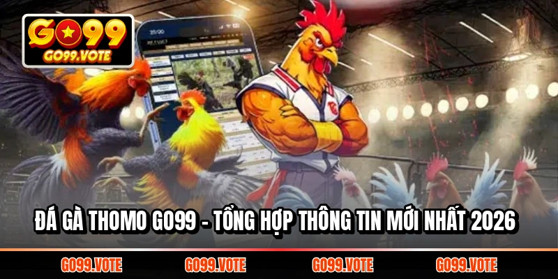 đá gà Thomo